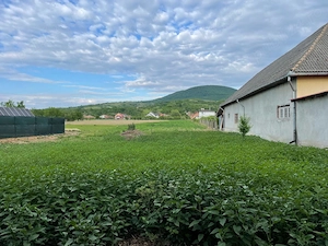 de Vânzare Casă și Teren în Viile Apei la strada Principală peste drum de Magazin La Doi Pași - imagine 4