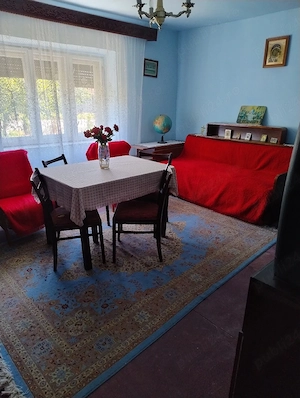 Casă de vânzare in Nădlac str.Vasile Goldiș nr 88. - imagine 4