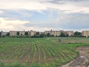 Teren intravilan cu potențial excelent în Triaj -  str. Narciselor. - imagine 5