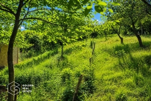 Teren intravilan, 1159 mp, localitatea Ghioroc - imagine 2