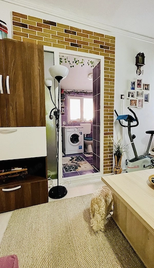 Proprietar vând casă 2 camere, 2 băi, Sector 6 (curte comună), parțial mobilată,preț negociabil - imagine 4