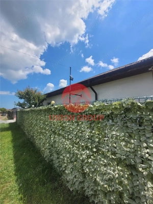 Casa Parter 3 camere + Teren Proprietate 516mp Techirghiol - imagine 11