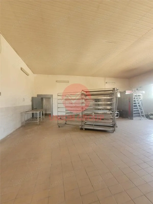 Spatiu Industrial Hala, peste 750 mp,  Amplasat pe un Teren de 2000 mp, Zona Cet - imagine 19
