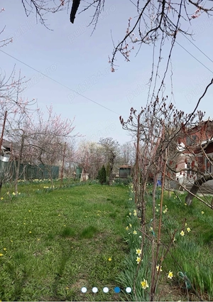 Loc de casă Zamfira Lipanesti  - imagine 3