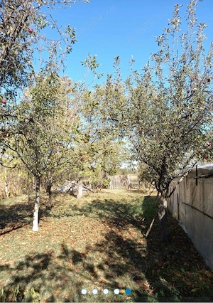 Loc de casă Zamfira Lipanesti  - imagine 4