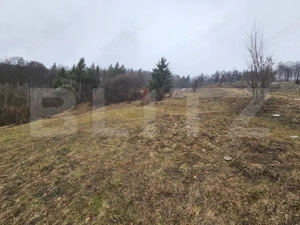 Casă de munte cu teren generos de 7.297 mp, Dăroaia, comuna Roșia Montană - imagine 11