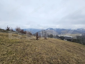 Casă de munte cu teren generos de 7.297 mp, Dăroaia, comuna Roșia Montană - imagine 8