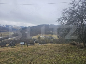 Casă de munte cu teren generos de 7.297 mp, Dăroaia, comuna Roșia Montană - imagine 9