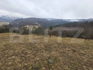 Casă de munte cu teren generos de 7.297 mp, Dăroaia, comuna Roșia Montană - imagine 7