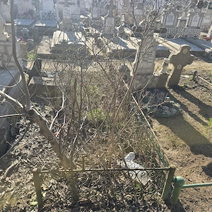 Înstrăinez concesiune loc de veci cimitirul central Constanța - imagine 3
