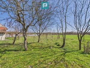 Casă cu teren de 6000 mp în Duboz, Timiș - imagine 14