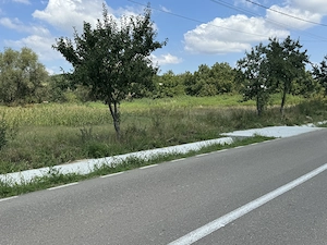 Teren 1.000 mp Lipovăț (Vaslui)   La Strada Principală (DJ)   Acte Gata! - imagine 4