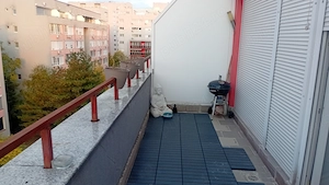 vanz ap 3 cam uta ared penthaus - imagine 11