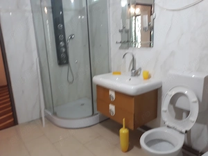 vanzare vila zona teatru (formata din 2 ap separate) - imagine 10