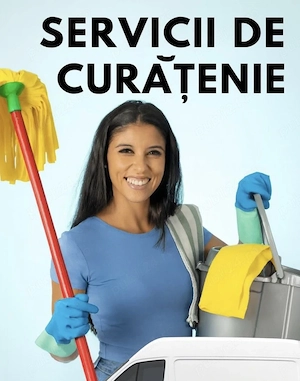 curatenie 
