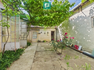 Casă cu 4 camere și teren de 2880 mp în Fiscut - imagine 13