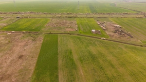 Teren intravilan 6150 mp – Sânleani, jud. Arad - imagine 3