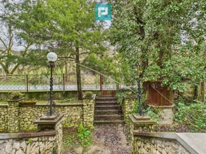 Casă P+E+M cu teren 8163 mp – Roşia Nouă (Petriş) - imagine 4