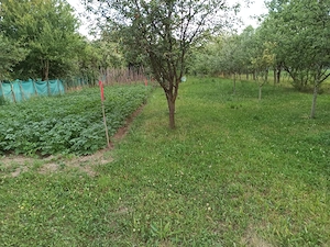 Vând casă în Loc. Sighetu-Marmației  - imagine 6
