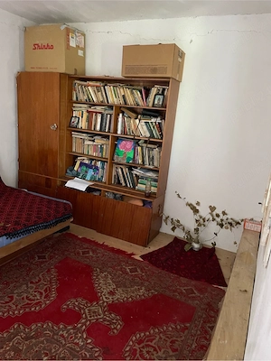 Teren 970mp si casa in Marasesti VN - imagine 4