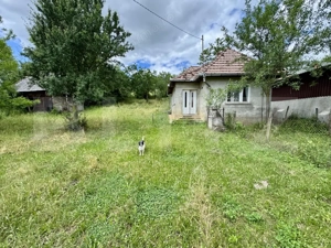 Casa 50 mp utili, 5000 mp teren, sat Draculea Bandului - imagine 2