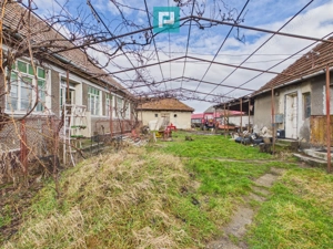 Casă cu teren generos, 4.000 mp, Chijic – Bihor - imagine 2