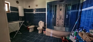 Casă rezidențială cu mansardă și garaj, teren 5000mp, Cateasca, Arges - imagine 8