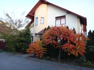 Casa Trivale