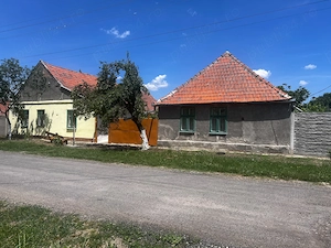 Casă de vânzare cu 2 parcele   Jamu Mare (70 km de Timișoara)