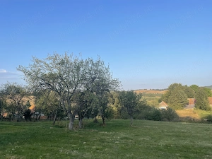 Vând teren intravilan Brebu Nou Caras-Severin - imagine 5
