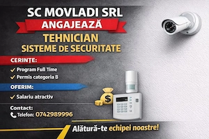 Tehnician sisteme securitate 