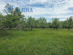 Casă cu teren de 2.300 mp și livadă în Rădești   Stâlpeni, Argeș - imagine 6