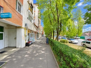 Apartament 4 Camere cu Doua GARAJE - Zona LIPOVEI - 0%COMISION - imagine 15
