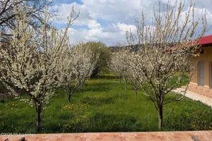 Arges | Valea Mare-Bratia | Vila 276 mp Lot 2063 mp | Zona Pitoreasca! - imagine 5