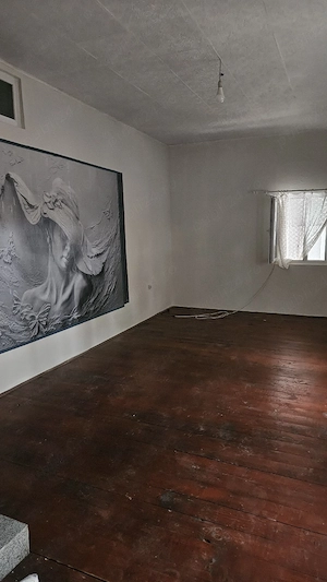 Vand  casa la curte! - imagine 2