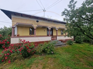 Gospodarie autentic romaneasca-Lunca Corbului, Ciesti!
