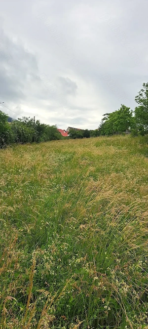 Teren intravilan de vanzare