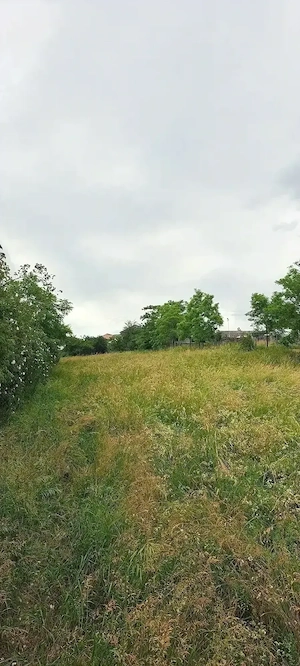 Teren intravilan de vanzare - imagine 3