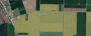 Teren industrial 9.817 mp cu acces direct la breteaua A2–DN3, Brănești