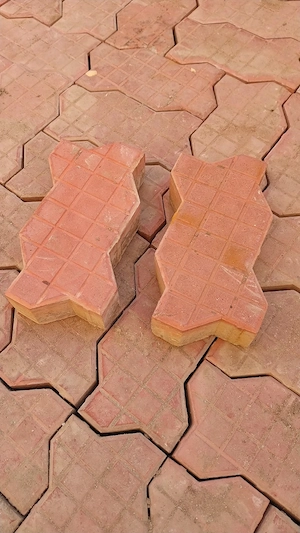 Vand pavele
