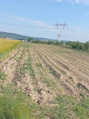 Teren intravilan de vanzare in Osorhei - imagine 4