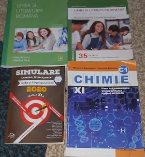 Manuale Culegeri - Clasa a XI-a