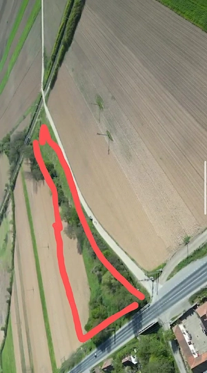 Teren intravilan 11.800 m2 Barzava Monorastia - imagine 3