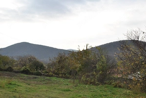 Telita ,Teren de vanzare 2600m  - imagine 2