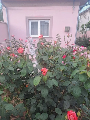 Casa de vânzare,  frumoasa și cochetă  - imagine 6