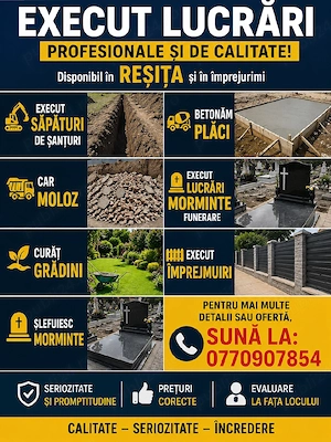 Execut servici în Domeniul demolări 