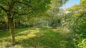 Casa individuala in Brasov | 705 mp teren | Str. Vulcan - imagine 2