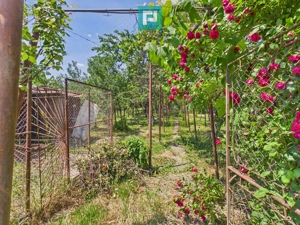 CASĂ INDIVIDUALĂ PÂRNEAVA TEREN GENEROS 846 MP - imagine 6