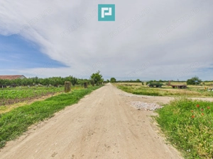 Teren extravilan 5000 mp, Arad - imagine 3