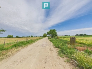 Teren extravilan 5000 mp, Arad - imagine 8